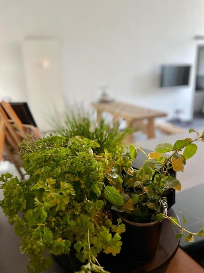 Mya Lenas Apartment